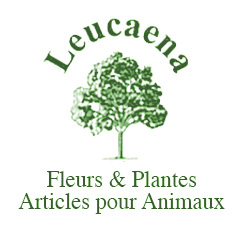 Leucaena_logo_blanc